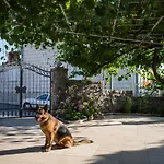 Apartman Vukic